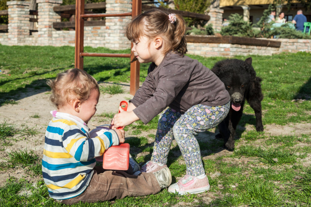 Introducing your Kids to Gardening