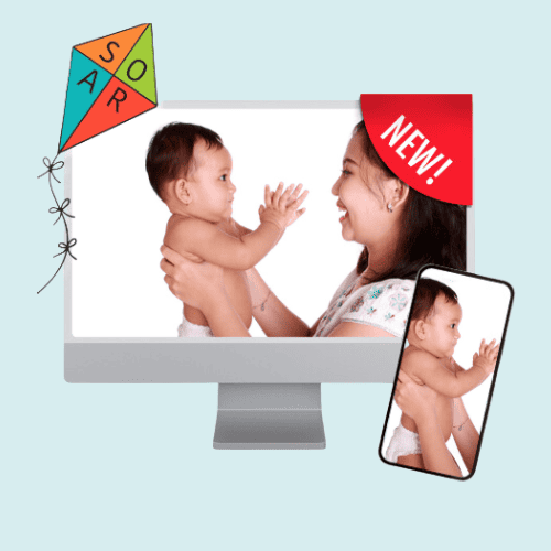 CHEEERS: A Tool for Observing Parent-Child Interaction online training course.